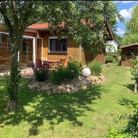 Ferienhaus In Absoluter Seenaehe Fuer 4 Personen Arendsee  Esterno foto